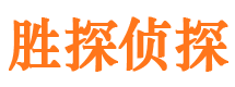 洪泽调查公司